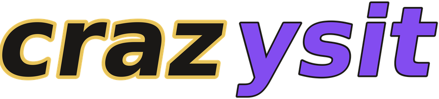 crazysit logo